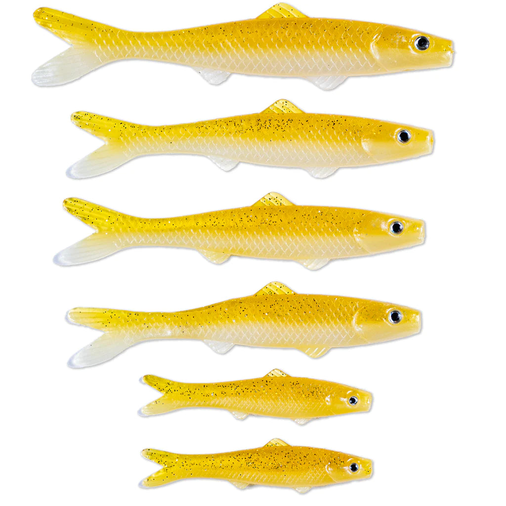 Electric Yellow Minnows