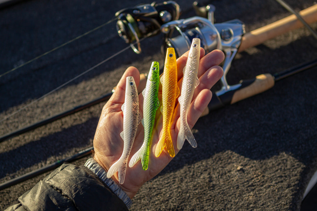 Top 4 Lures for Bass Fishing in September