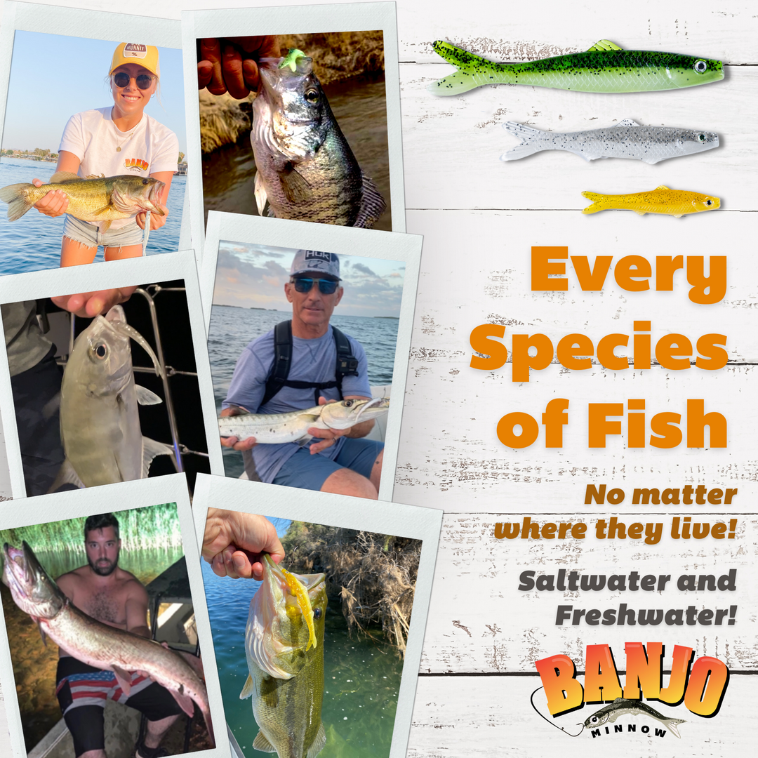 banjo minnow fishing lure kit Banjo Minnow 102 Piece Kit + Lifelike Lure for All Fish + Durable Material That Catches Fish