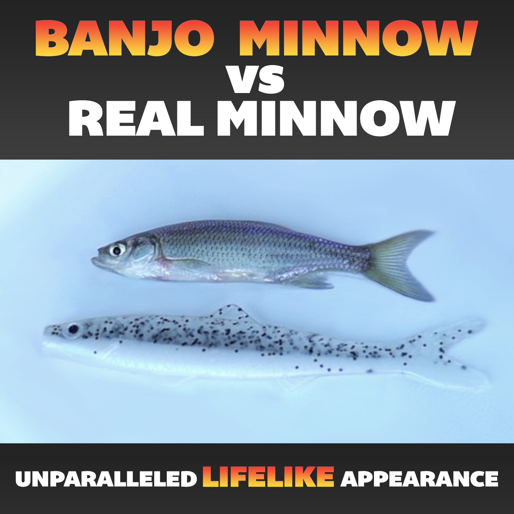 Banjo Minnow 006 - 110 Piece Fishing System Free Shipping Soft Plastic  Lures Set 