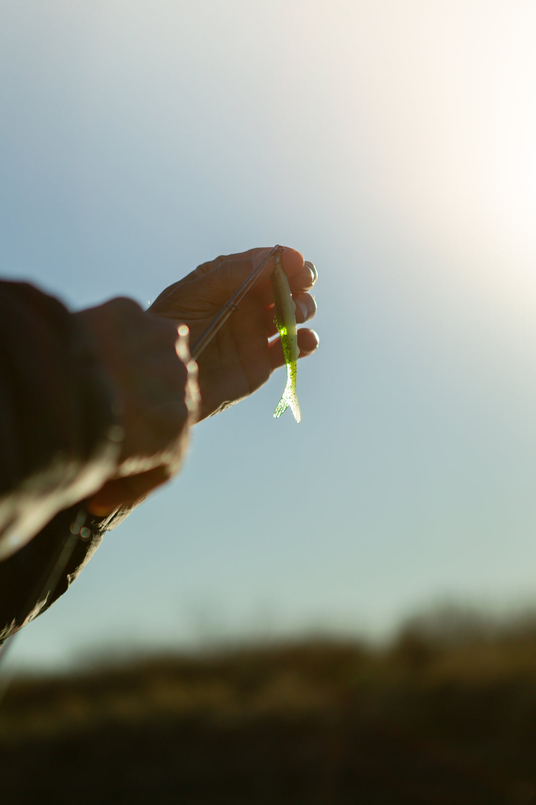 Forage Green Minnows