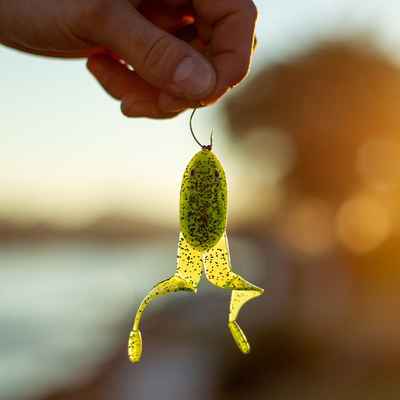 Banjo Minnow Frog Lures + Lifelike Lure for All Fish + Durable Material That Catches Fish + Freshwater & Saltwater Fishing Lure + Hooks & Anchors