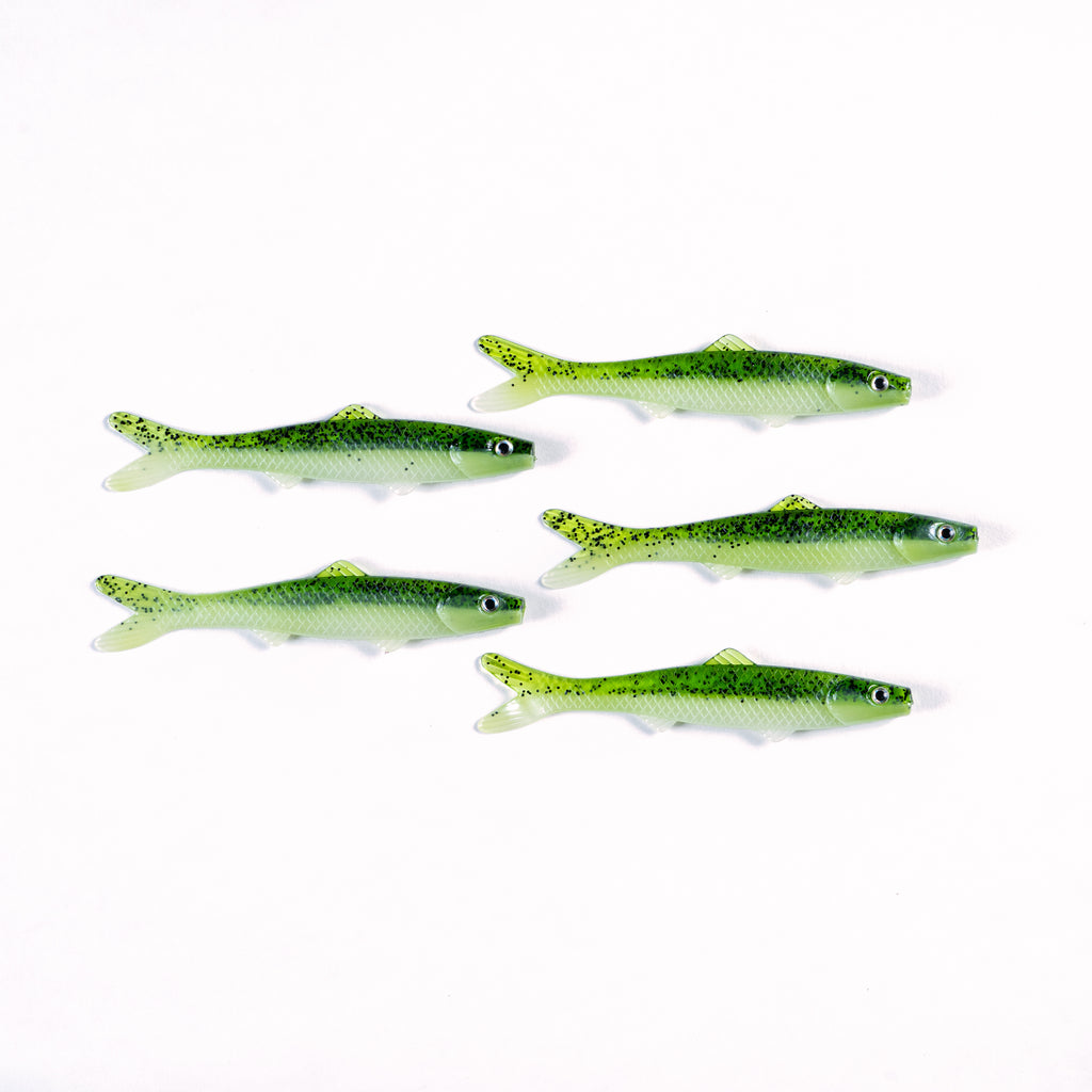 Minnows Color Green Minnows – Banjo Minnow